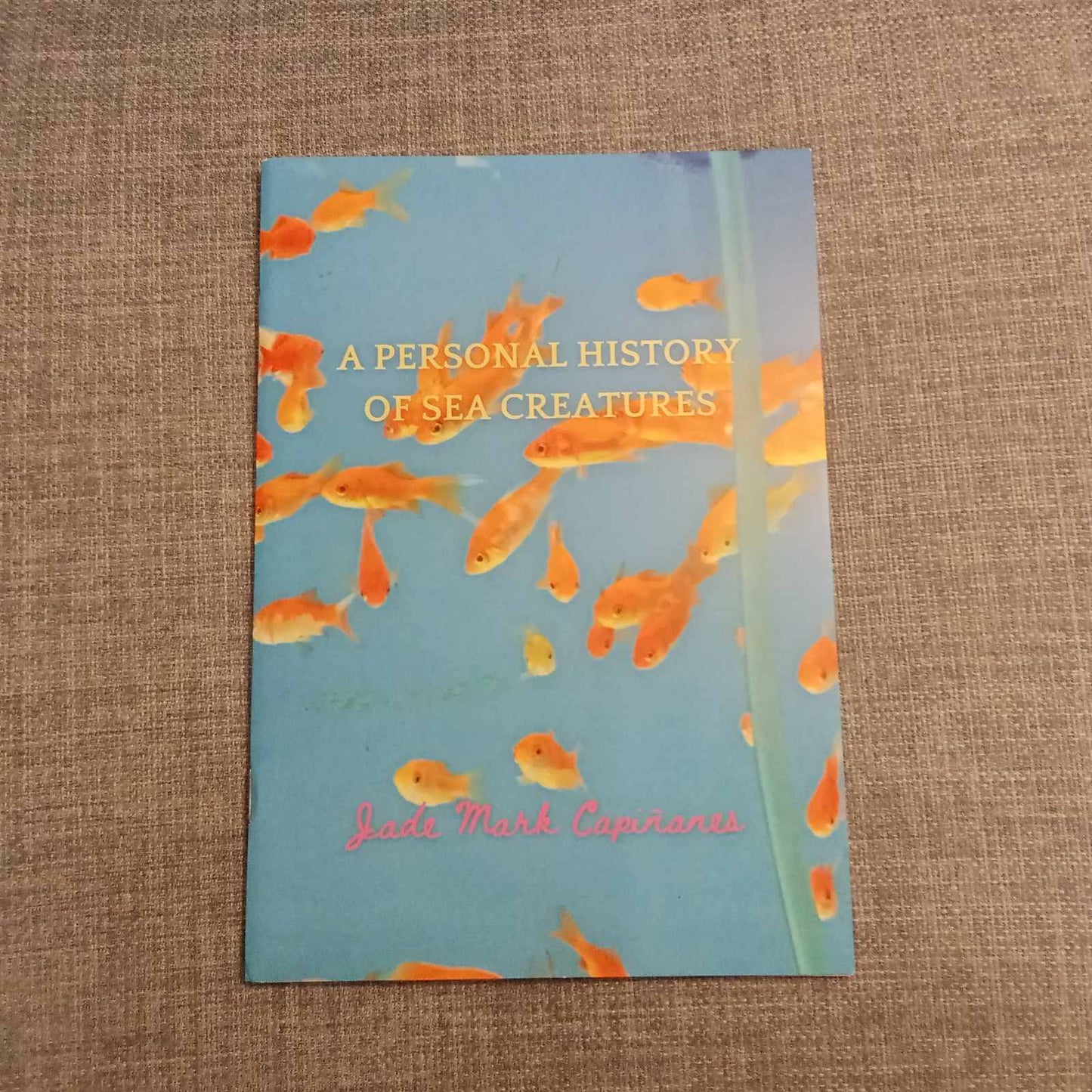 A Personal History Of Sea Creatures
