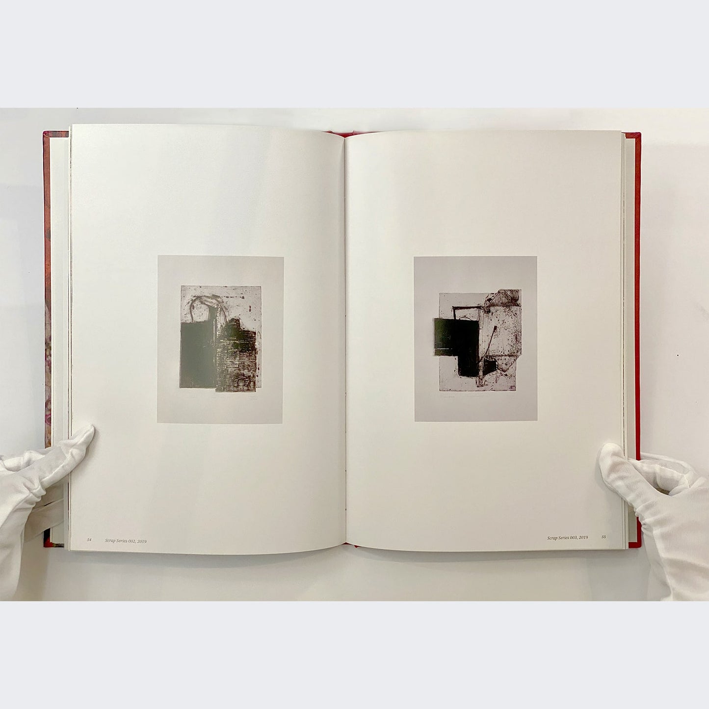 On The Benefits of a Crowded Space by Rodel Tapaya (Hardcover)