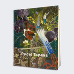 Distanz by Rodel Tapaya (Hardcover)